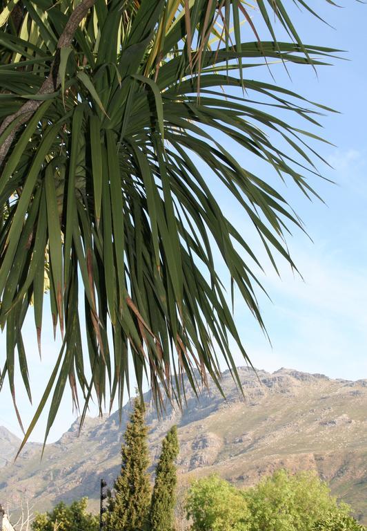 Keren'S Vine Guesthouse Stellenbosch Eksteriør bilde